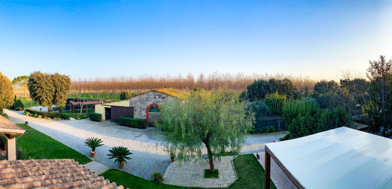 Agriturismo Il Cuscino Nel Pagliaio 캄필리아 마리티마 외부 사진